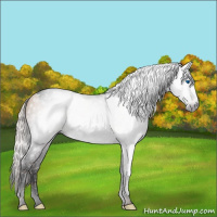 Horse Color:Gray Void Silver Classic Champagne Splash Tobiano 