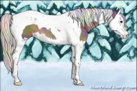 Horse Color:Nacre Silver Black Splash Tobiano 