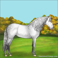 Horse Color:Gray Void Silver Classic Champagne Splash Tobiano 