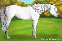 Horse Color:Gray Void Silver Classic Champagne Dun Splash Tobiano 