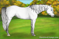 Horse Color:Gray Void Silver Classic Champagne Dun Splash Tobiano 