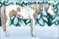 Horse Color:Nacre Silver Grullo Splash Tobiano 