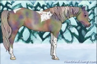 Horse Color:Nacre Silver Black Tobiano 