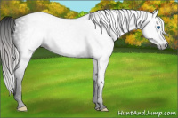 Horse Color:Gray Void Silver Classic Champagne Splash Tobiano