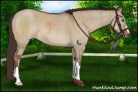 Horse Color:Liver Red Dun Brindle 