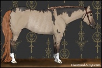 Horse Color:Liver Red Dun Rabicano 