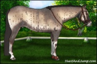 Horse Color:Liver Red Onyx Roan 