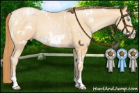 Horse Color:Buckskin Pearl Tobiano Rabicano  and Buckskin Pearl Frame 