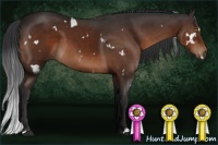Horse Color:White Spotted Brown