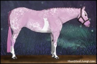 Horse Color:Watercolor Red Dun Ice Tobiano 