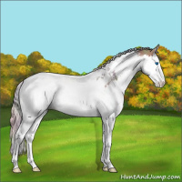 Horse Color:Nacre Silver Bay Splash Tobiano 