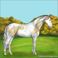 Horse Color:Nacre Silver Buckskin Roan Splash Tobiano 