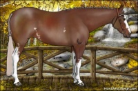 Horse Color:White Spotted Chocolate Silver Brown