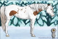 Horse Color:Silver Buckskin Splash Tobiano 