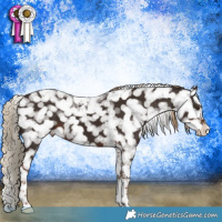 Horse Color:Liver Chestnut Tobiano Snowflake Varnish