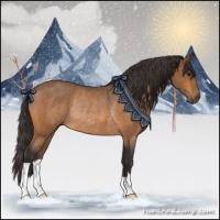Horse Color:Buckskin Roan Rabicano 