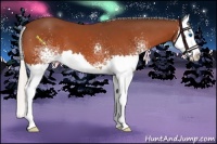 Horse Color:White Spotted Silver Bay Splash