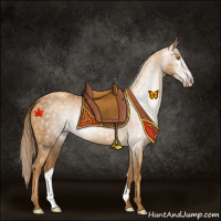 Horse Color:Gray Gold Champagne 