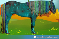 Horse Color:ERROR: UNKNOWN ANOMALY