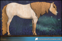 Horse Color:Red Roan Frame