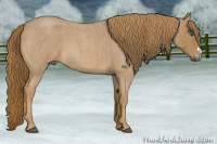 Horse Color:Red Roan Frame 