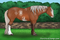 Horse Color:White Spotted Silver Bay Splash
