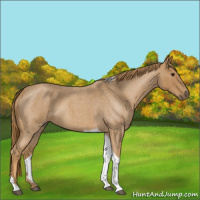 Horse Color:Red Roan Tobiano 