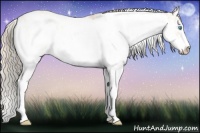 Horse Color:Perlino Sabino  and Perlino Sabino 