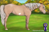 Horse Color:Silver Amber Champagne Frame 