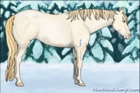 Horse Color:Buckskin Roan Pearl Dun  and Buckskin Roan Pearl Dun Rabicano 