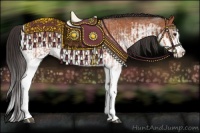 Horse Color:White Spotted Bay Splash  and White Spotted Bay Splash 