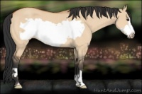 Horse Color:Bay Roan Dun Frame 