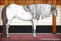 Horse Color:White Spotted Chocolate Brown