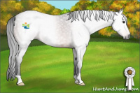 Horse Color:Gray Brown 