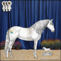 Horse Color:Gray White Spotted Silver Classic Cream Champagne 