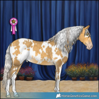 Horse Color:White Spotted Silver Sable Cream Champagne 