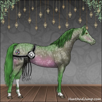 Horse Color:Watercolor Bay Ice 