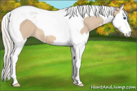 Horse Color:Silver Brown Dun Splash Tobiano 