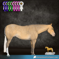 Horse Color:Silver Sable Cream Champagne Roan 