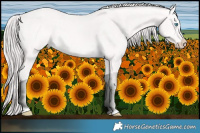 Horse Color:Platinum Perlino