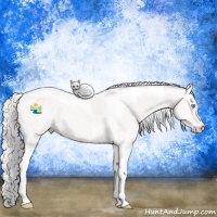 Horse Color:Platinum Perlino Tobiano 