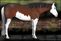 Horse Color:Brown Splash 