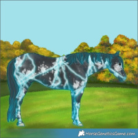 Horse Color:Thunderstruck Black Ice 