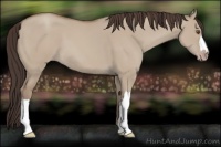 Horse Color:Classic Champagne Dun 