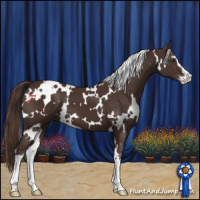Horse Color:White Spotted Liver Chestnut Sabino