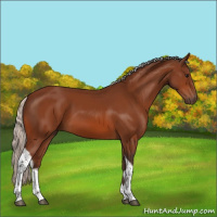 Horse Color:Silver Bay Tobiano Rabicano
