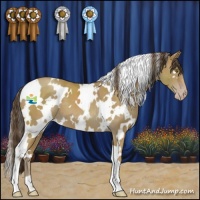 Horse Color:White Spotted Classic Cream Champagne 