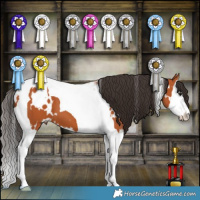 Horse Color:White Spotted Bay Splash Tobiano