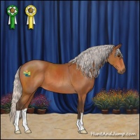 Horse Color:Silver Bay 