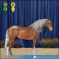 Horse Color:Silver Bay 